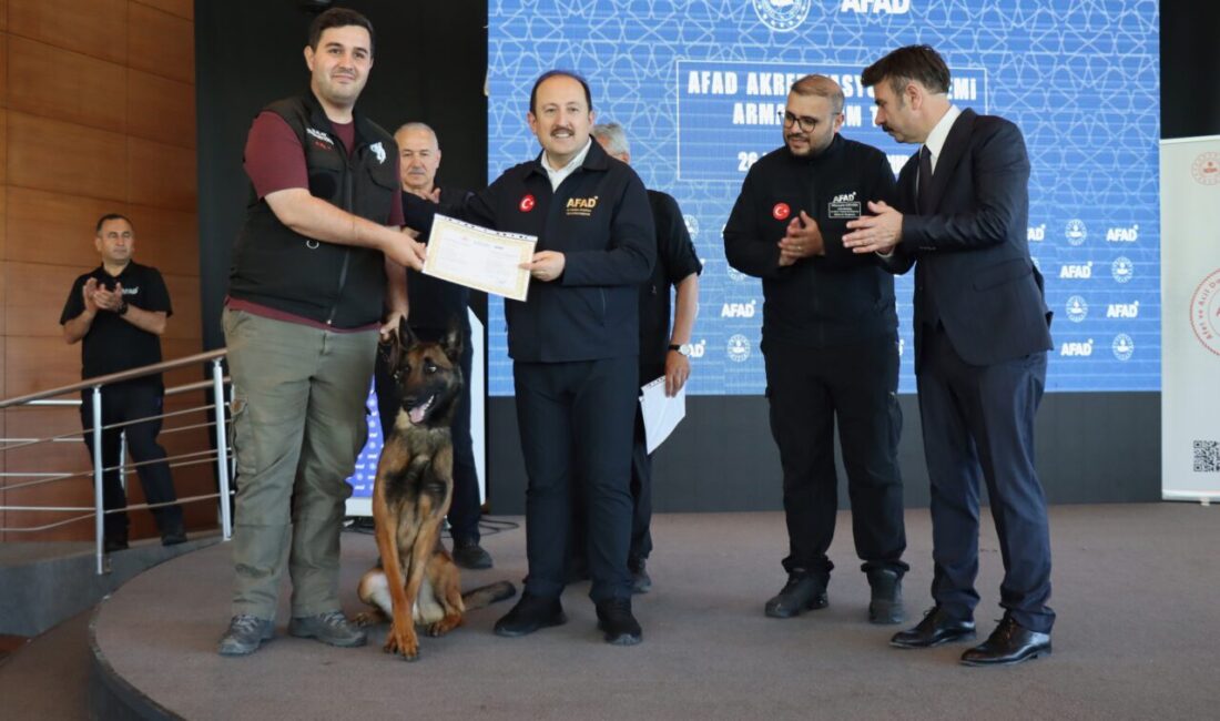 - AFAD Başkanı Ali Hamza Pehlivan:
- "Bundan sonra da orayla
