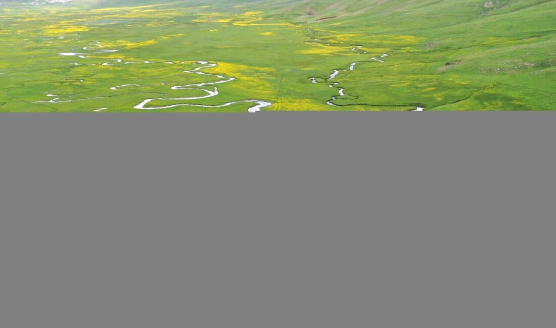 AĞRI (AA) – Ağrı'da ilkbahar mevsiminde etkili olan yağışlar ve