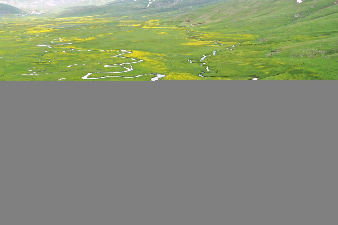 AĞRI (AA) – Ağrı'da ilkbahar mevsiminde etkili olan yağışlar ve