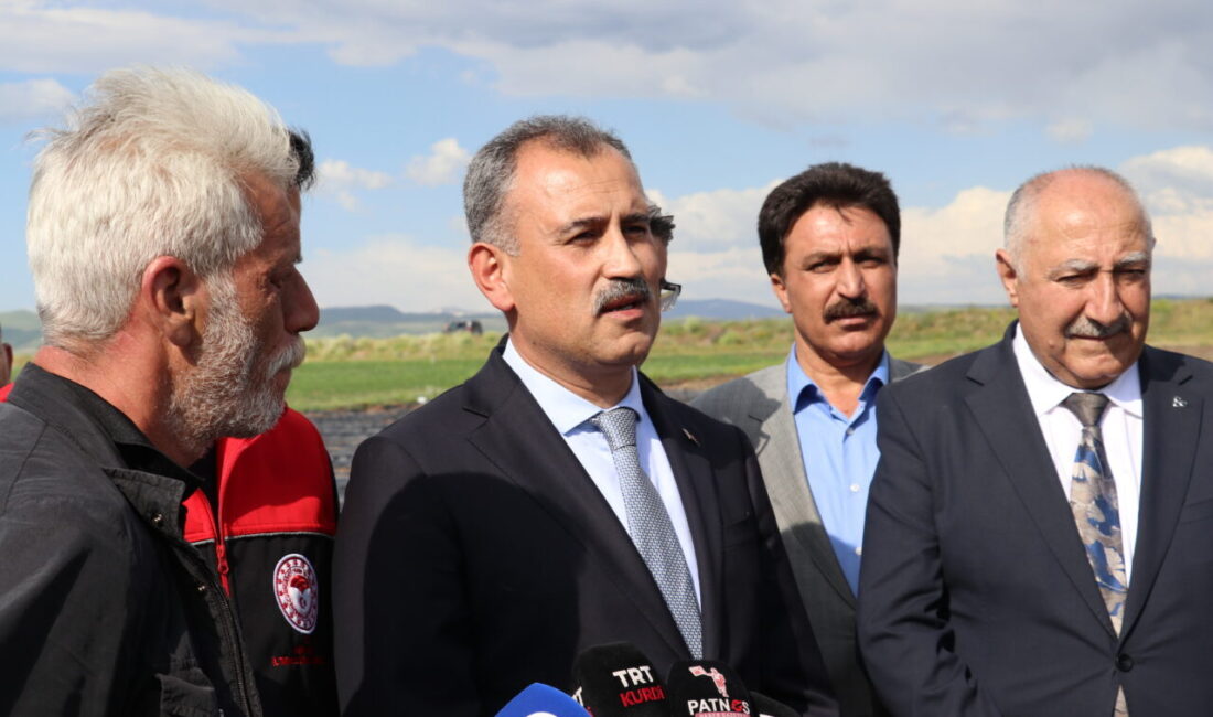 - Vali Önder Bozkurt:
- "Çilek bahçesi kurulumu kapsamında asgari 500