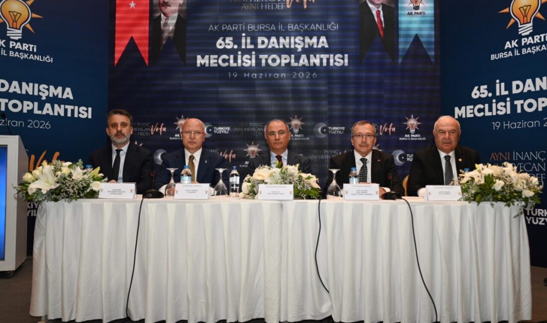 - AK Parti Genel Başkan Vekili Efkan Ala:
- "Daha kendi