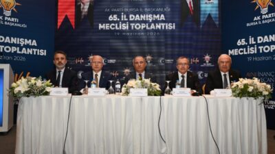 - AK Parti Genel Başkan Vekili Efkan Ala:
- "Daha kendi