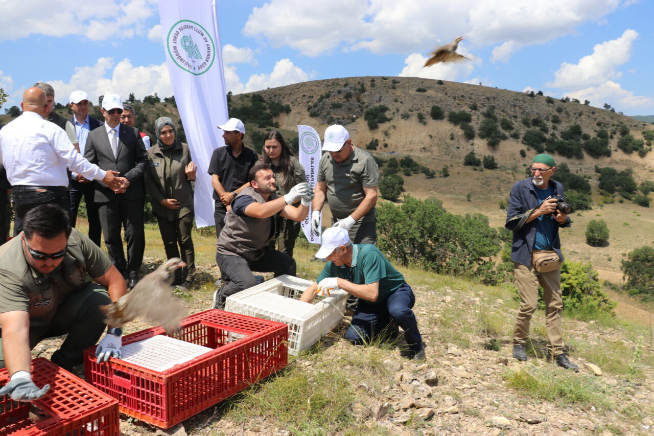 AMASYA (AA) – Amasya'da keneyle mücadele etmesi için 300 kınalı