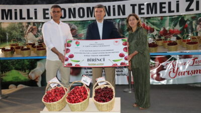 AMASYA (AA) – Amasya'da Uluslararası Atatürk, Kültür ve Sanat Festivali