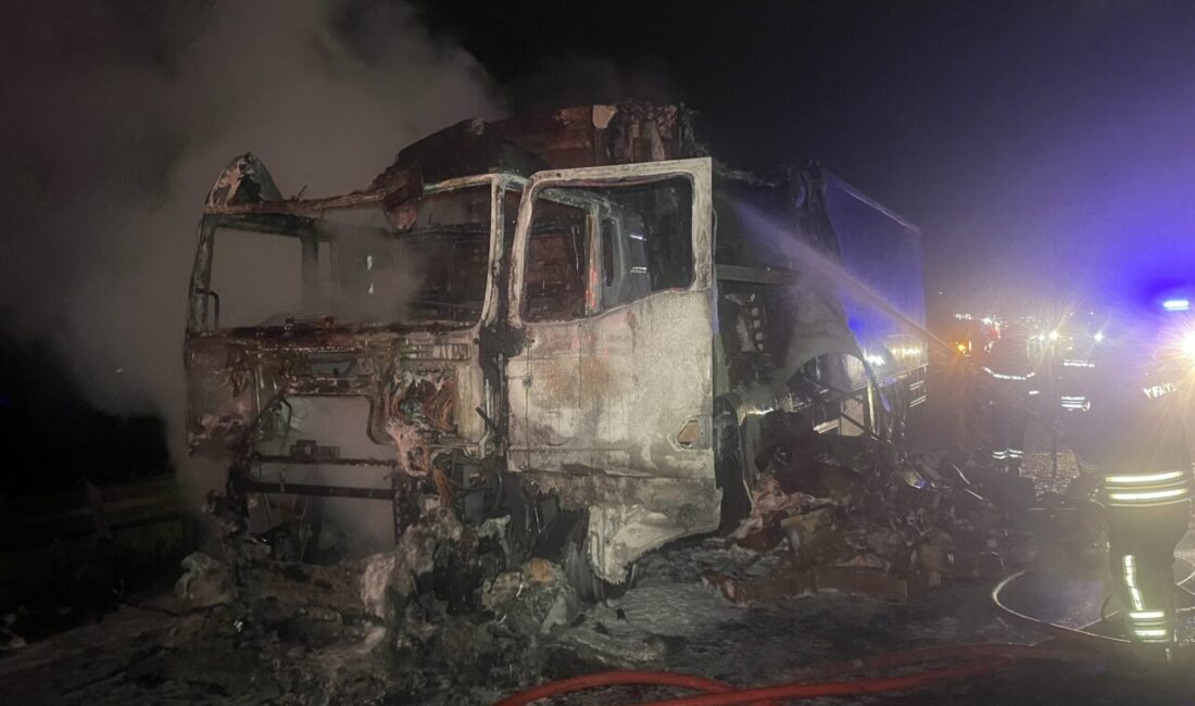 BOLU (AA) – Anadolu Otoyolu'nun Bolu kesiminde tavuk eti yüklü