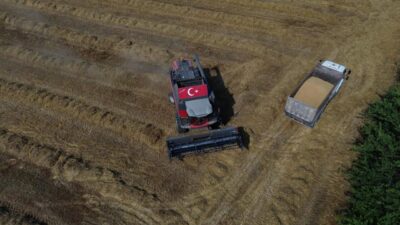 ANTALYA (AA) – Antalya'da tarımın yoğun olduğu Aksu ilçesinde buğday