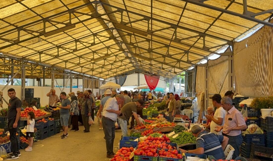 ANTALYA (AA) – Antalya'nın Gazipaşa ilçesinde bebek arabasında yorgun mermi
