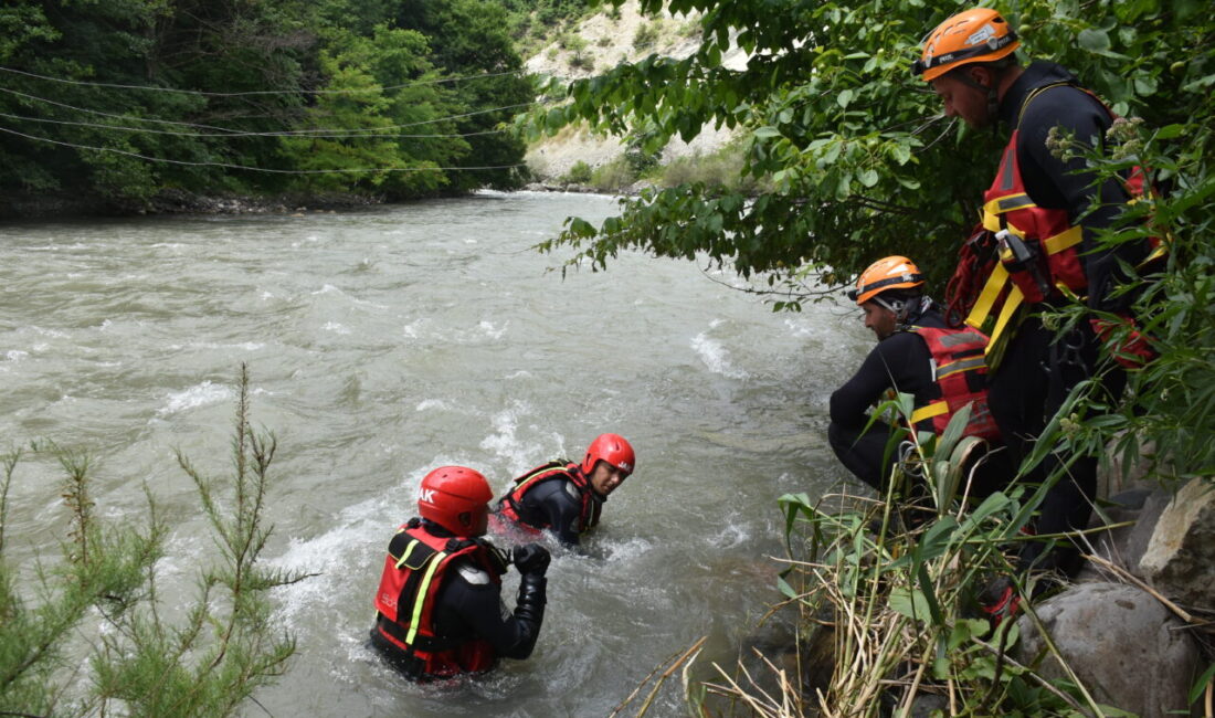 ARTVİN (AA) – Artvin'in Şavşat ilçesinde, kamyonun dereye devrildiği kazada