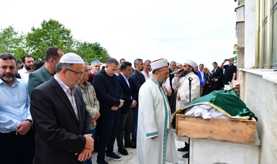 TRABZON (AA) – Artvin'in Arhavi ilçesinde serinlemek için girdiği gölette