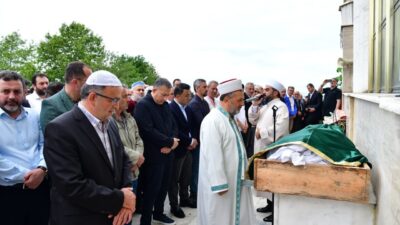 TRABZON (AA) – Artvin'in Arhavi ilçesinde serinlemek için girdiği gölette