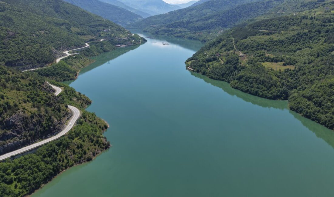- Vali Turan Ergün:
- "Bir damla su Artvin'de 5 defa
