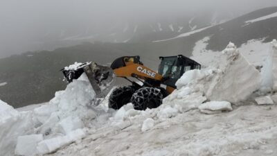 ARTVİN (AA) – Artvin'de İl Özel İdaresi ekipleri, haziranda yayla