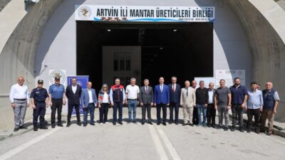 ARTVİN (AA) – Artvin'de istiridye mantarı üretimi yapılan tünelde bu