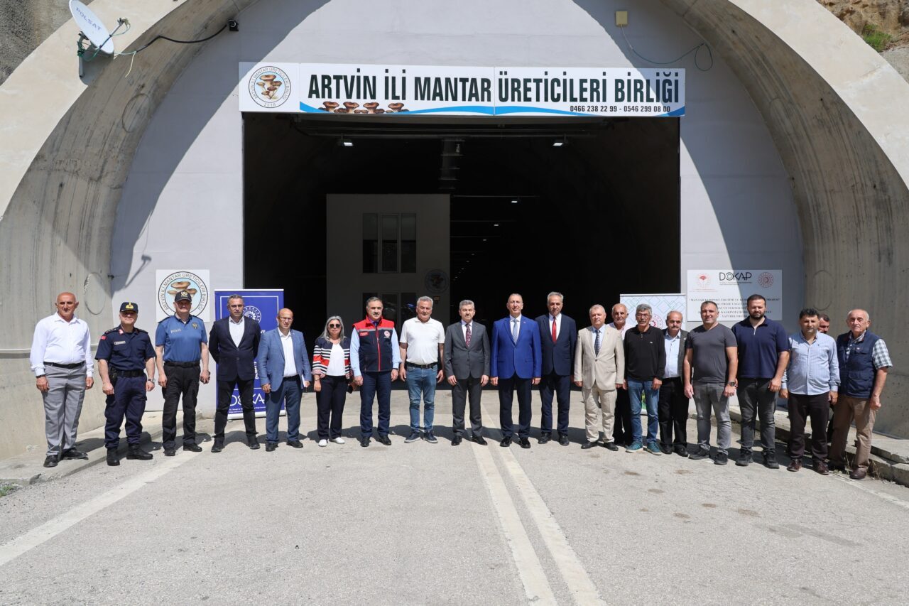 ARTVİN (AA) – Artvin'de istiridye mantarı üretimi yapılan tünelde bu