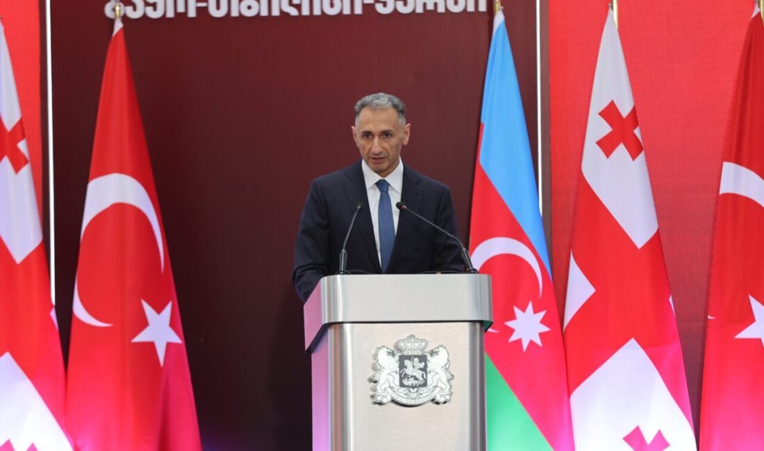 - Gürcistan Başbakanı İrakli Kobakhidze:
- "Bakü-Tiflis-Kars Demir Yolu hattı, Avrupa