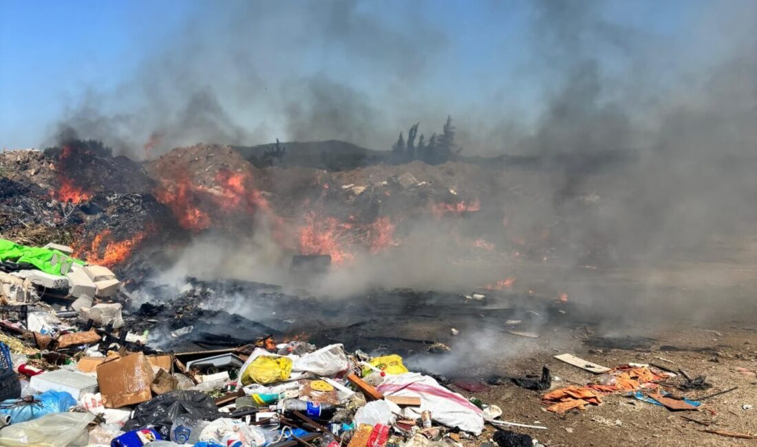 BALIKESİR (AA) – Balıkesir'in Gömeç ilçesinde çıkan ve yakındaki araziye