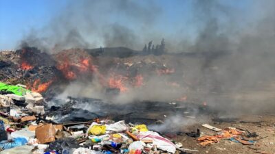 BALIKESİR (AA) – Balıkesir'in Gömeç ilçesinde çıkan ve yakındaki araziye