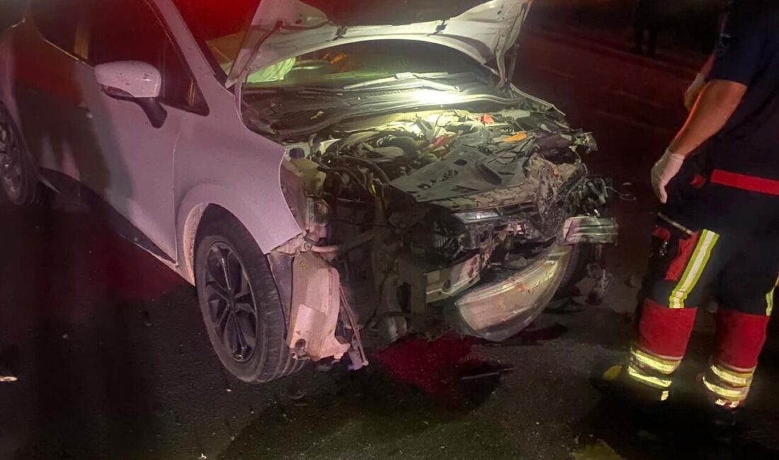 BALIKESİR (AA) – Balıkesir'in Altıeylül ilçesinde otomobilin çarptığı 7 küçükbaş