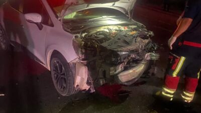 BALIKESİR (AA) – Balıkesir'in Altıeylül ilçesinde otomobilin çarptığı 7 küçükbaş