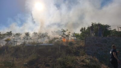 BİNGÖL (AA) – Bingöl'ün Solhan ilçesinde meyve bahçesinde çıkan yangın