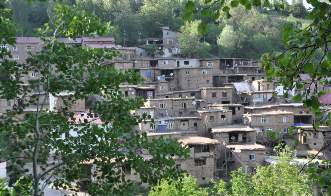 BİTLİS (AA) – Bitlis'in Hizan ilçesindeki köylerde bulunan yaklaşık 300