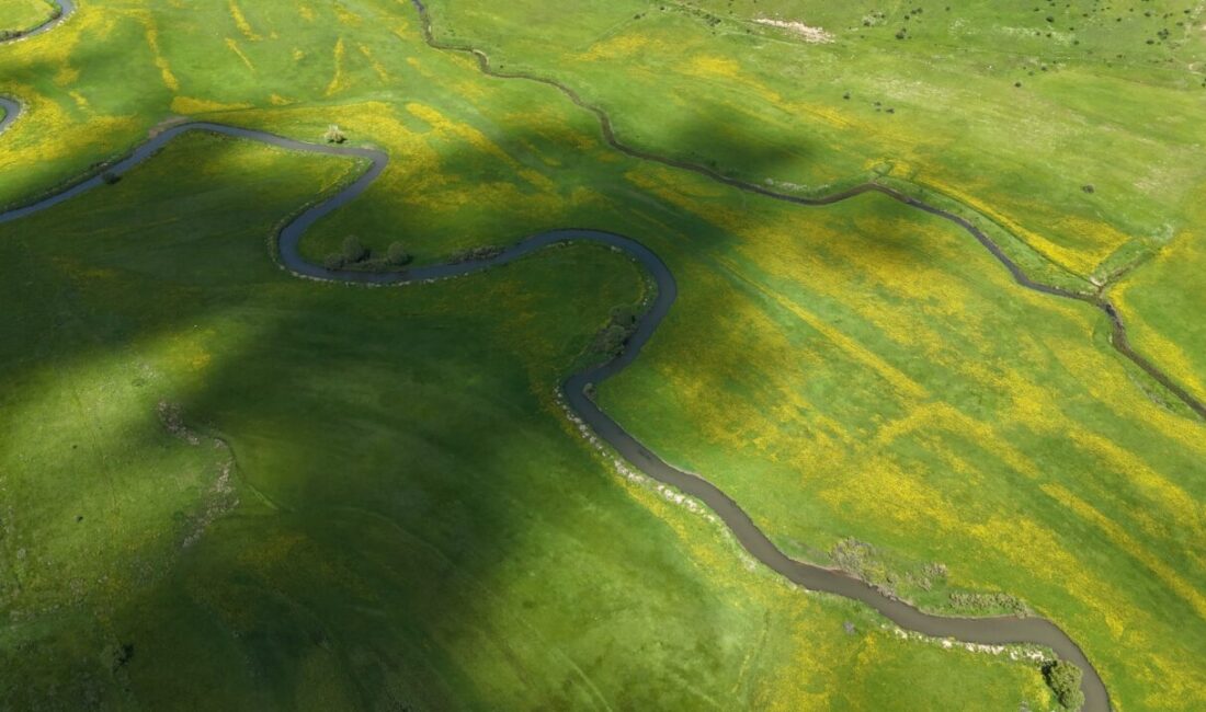 BİTLİS (AA) – Bitlis'in Tatvan ve Hizan ilçeleri arasında bulunan