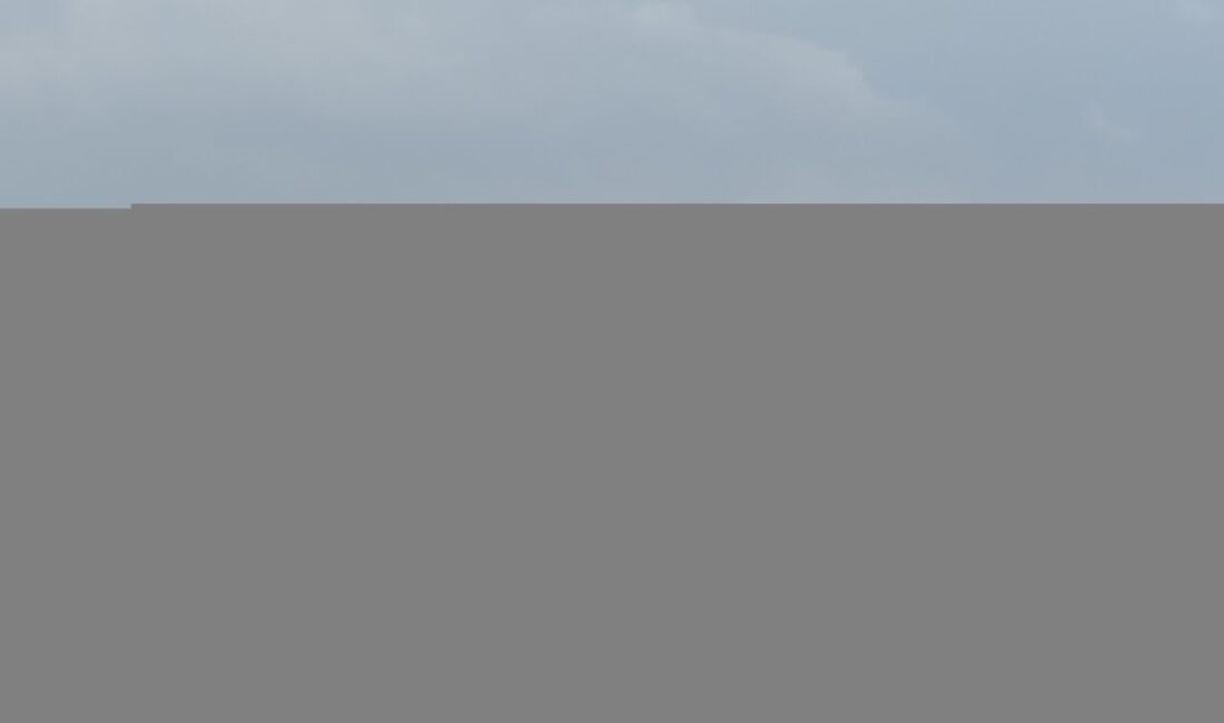 BİTLİS (AA) – Bitlis'in Ahlat ilçesinde, toz taşınımı ve rüzgar