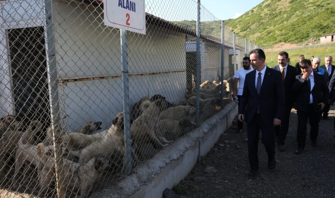 - Vali Ahmet Karakaya:
- "Çocuklarımızın huzurla oynayabilmesi, vatandaşlarımızın işine, gücüne,