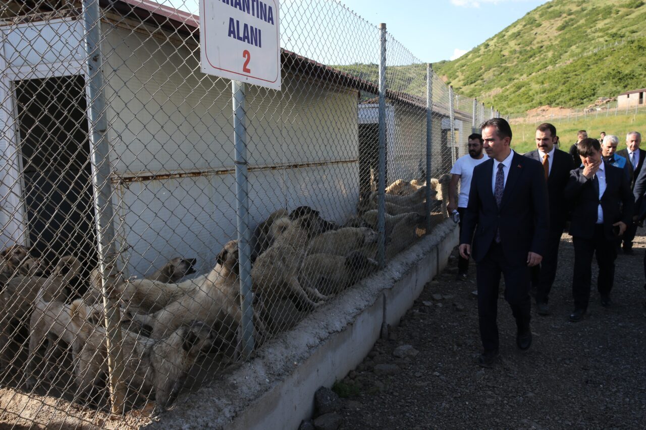 - Vali Ahmet Karakaya:
- "Çocuklarımızın huzurla oynayabilmesi, vatandaşlarımızın işine, gücüne,