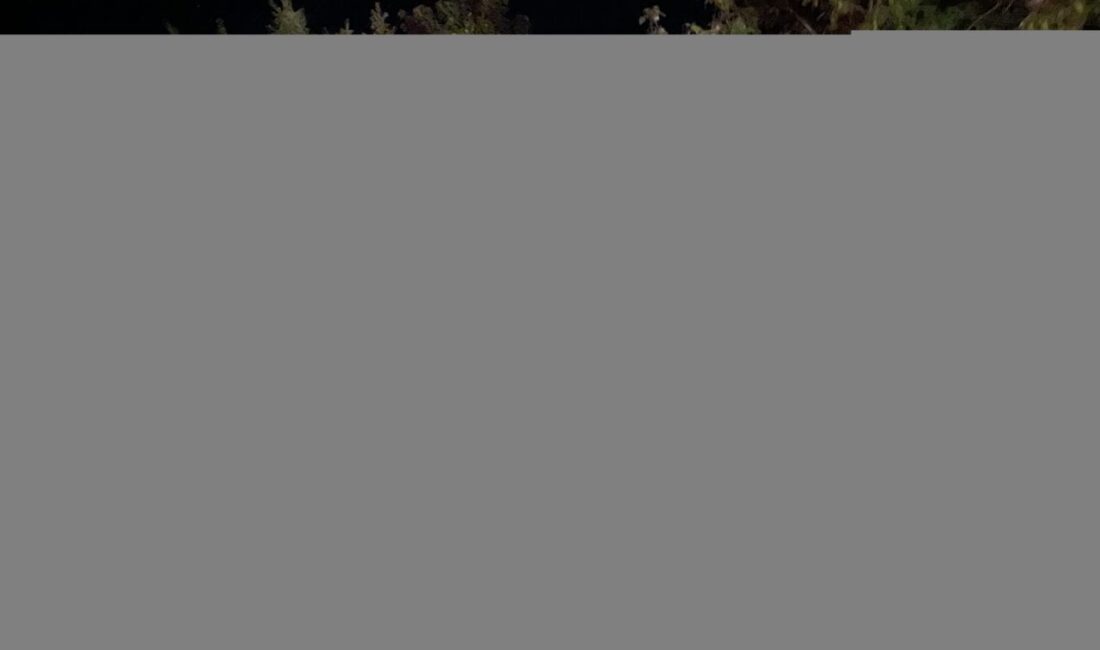 BOLU (AA) – Bolu'da kamyonetin tıra çarpması sonucu meydana gelen