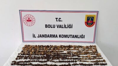 BOLU (AA) – Bolu'nun Yeniçağa ilçesinde yabani salep topladığı belirlenen
