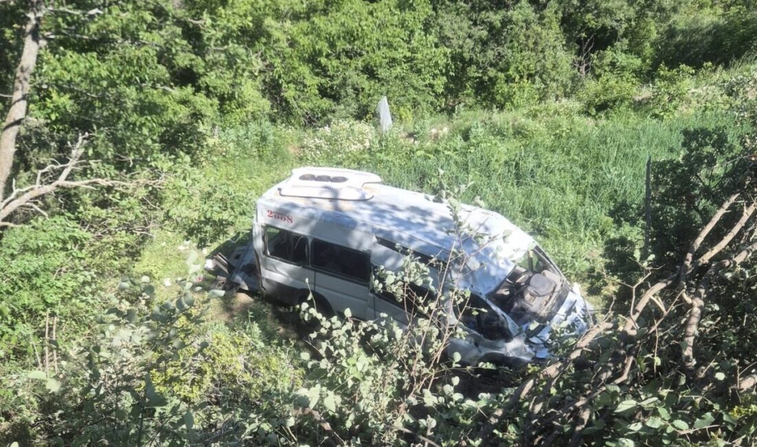 BURDUR (AA) – Burdur'un Ağlasun ilçesinde tarlaya devrilen minibüsteki 8
