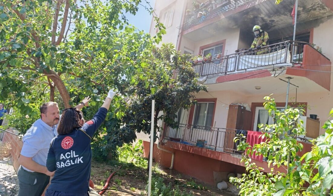 BURSA (AA) – Bursa'nın Yenişehir ilçesinde bir apartman dairesinde çıkan