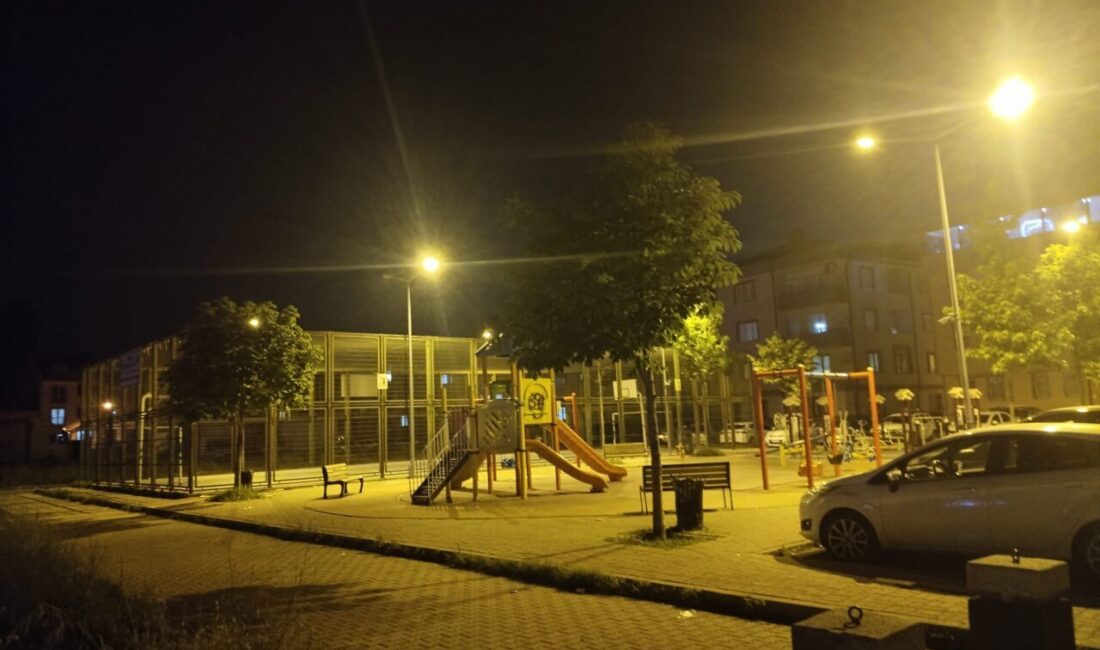BURSA (AA) – Bursa'nın İnegöl ilçesinde, çocuk parkında bulunan 6'sı