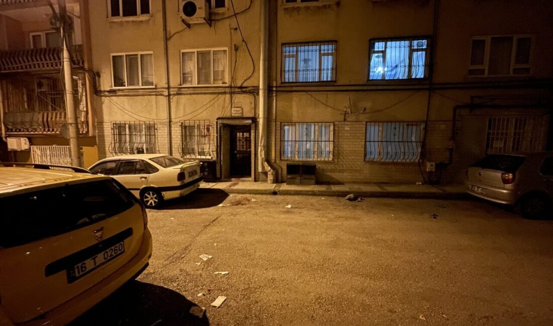BURSA (AA) – Bursa'nın Osmangazi ilçesinde, annesini bıçakla ağır yaralayan