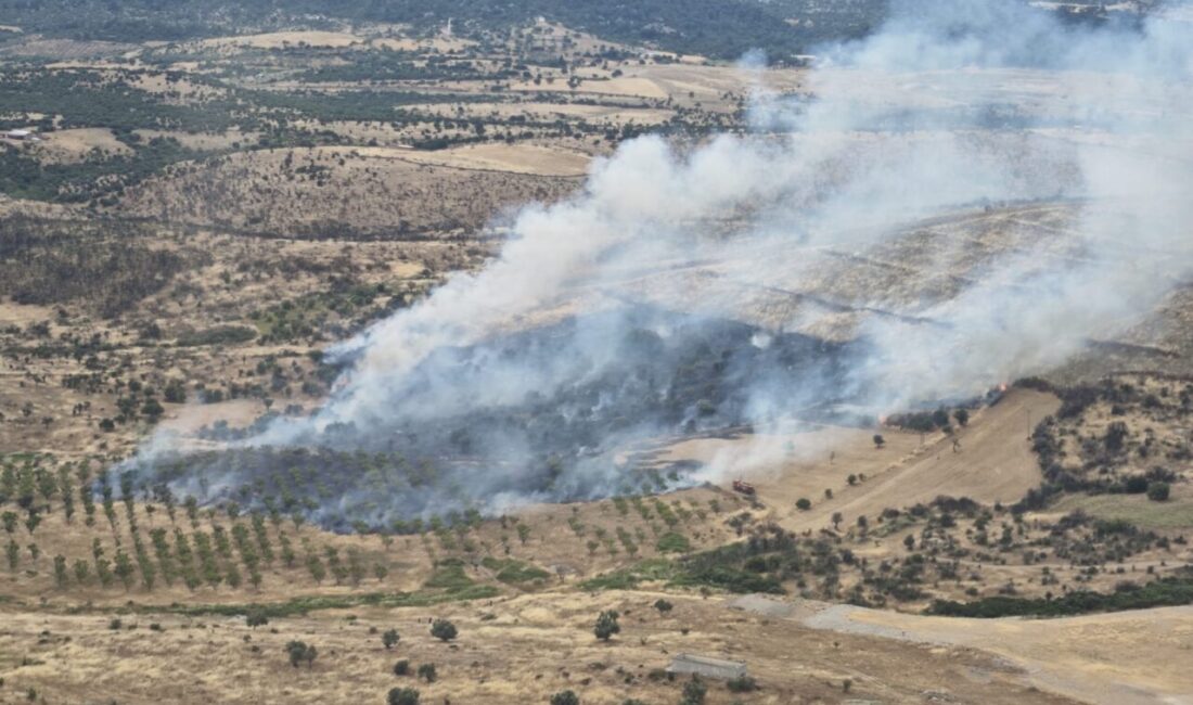 ÇANAKKALE (AA) – Çanakkale'nin Ezine ilçesinde çıkan orman yangınına havadan
