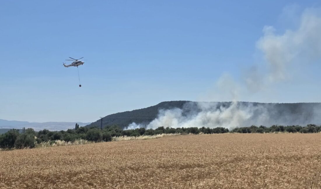 ÇANAKKALE (AA) – Çanakkale'nin Eceabat ilçesinde tarım arazisinde çıkan yangına