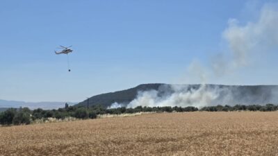 ÇANAKKALE (AA) – Çanakkale'nin Eceabat ilçesinde tarım arazisinde çıkan yangına