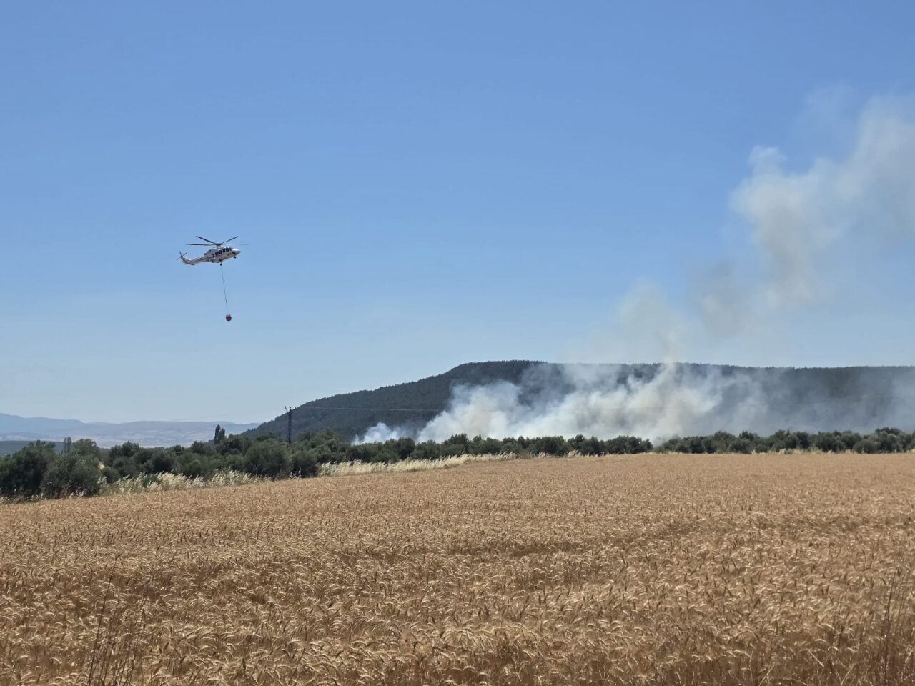 ÇANAKKALE (AA) – Çanakkale'nin Eceabat ilçesinde tarım arazisinde çıkan yangına