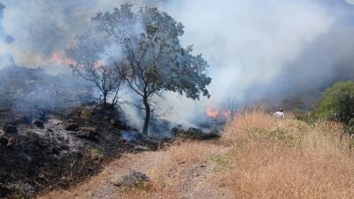 ÇANAKKALE (AA) – Çanakkale'nin Ayvacık ilçesinde tarım arazisinde çıkan yangına