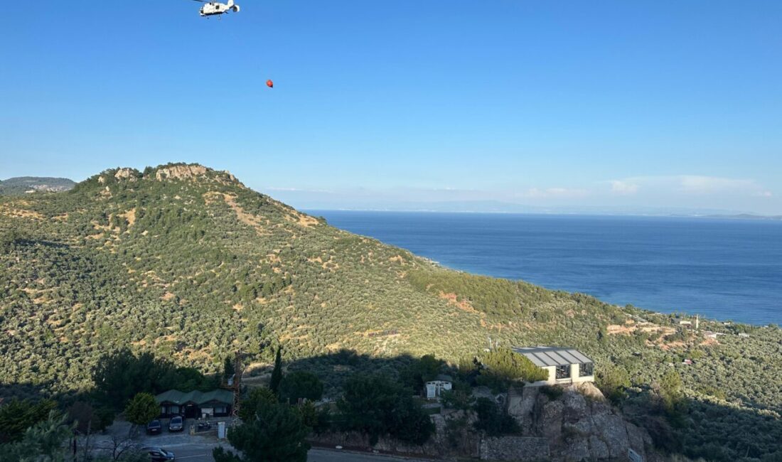 ÇANAKKALE (AA) – Çanakkale'nin Ayvacık ilçesinde zeytinliklerin bulunduğu tarım arazisinde