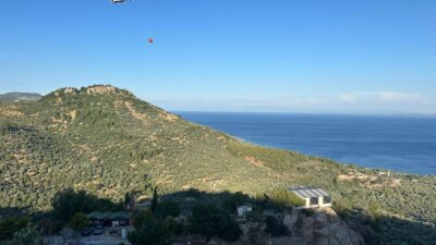 ÇANAKKALE (AA) – Çanakkale'nin Ayvacık ilçesinde zeytinliklerin bulunduğu tarım arazisinde