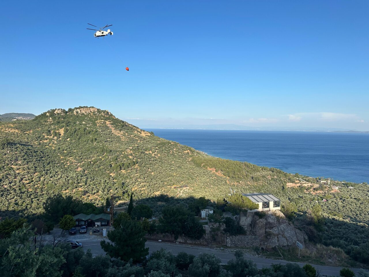 ÇANAKKALE (AA) – Çanakkale'nin Ayvacık ilçesinde zeytinliklerin bulunduğu tarım arazisinde