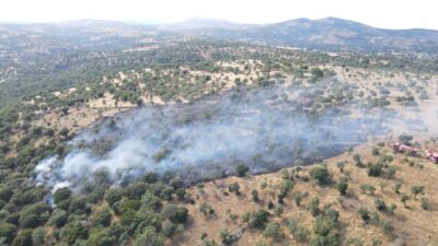 ÇANAKKALE (AA) – Çanakkale'nin Ayvacık ilçesinde zirai arazide çıkan yangına