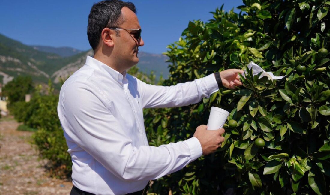 ANTALYA (AA) – Antalya'da tat ve aroması, damakta bıraktığı lezzet