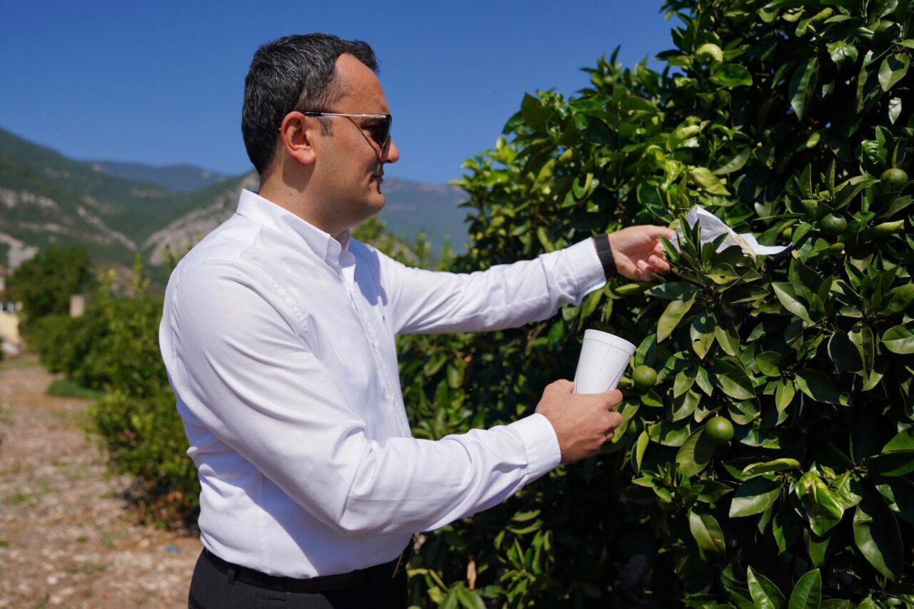 ANTALYA (AA) – Antalya'da tat ve aroması, damakta bıraktığı lezzet