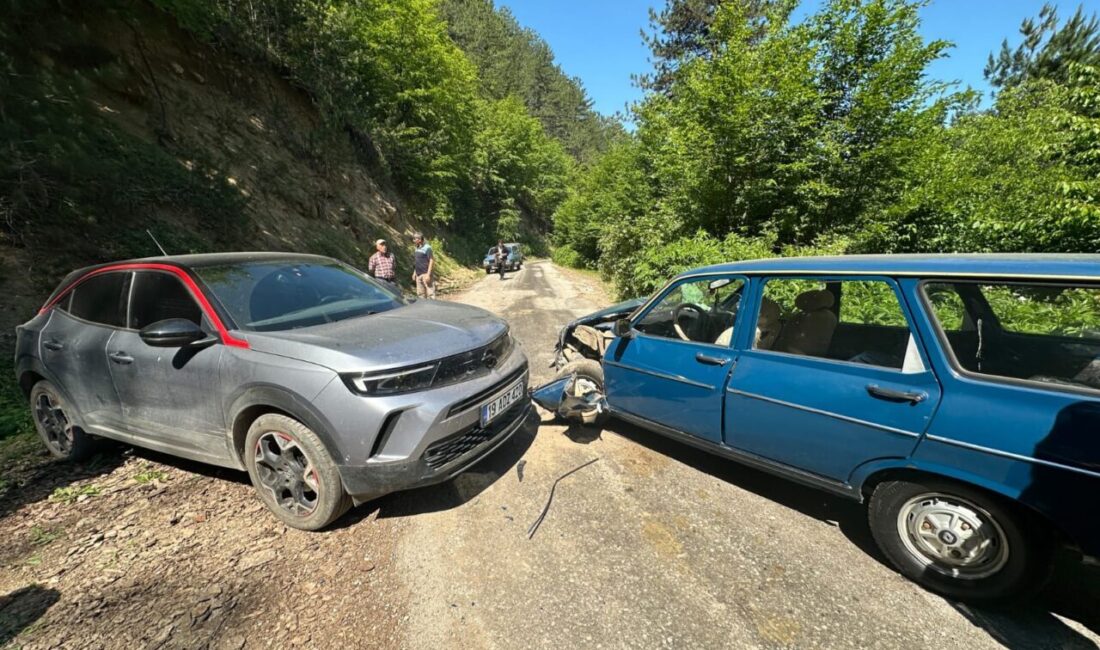 ÇORUM (AA) – Çorum'un Dodurga ilçesinde iki otomobilin çarpışması sonucu