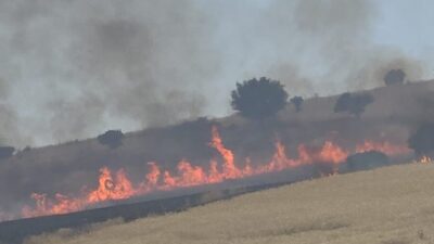 DİYARBAKIR (AA) – Diyarbakır'ın Çınar ilçesi kırsalında çıkan anız ve