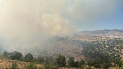 DİYARBAKIR (AA) – Diyarbakır'ın Silvan ilçesi kırsalında ormanlık alanda çıkan