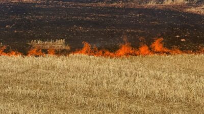 DİYARBAKIR (AA) – Diyarbakır’ın Çermik ilçesinde çıkan örtü ve anız